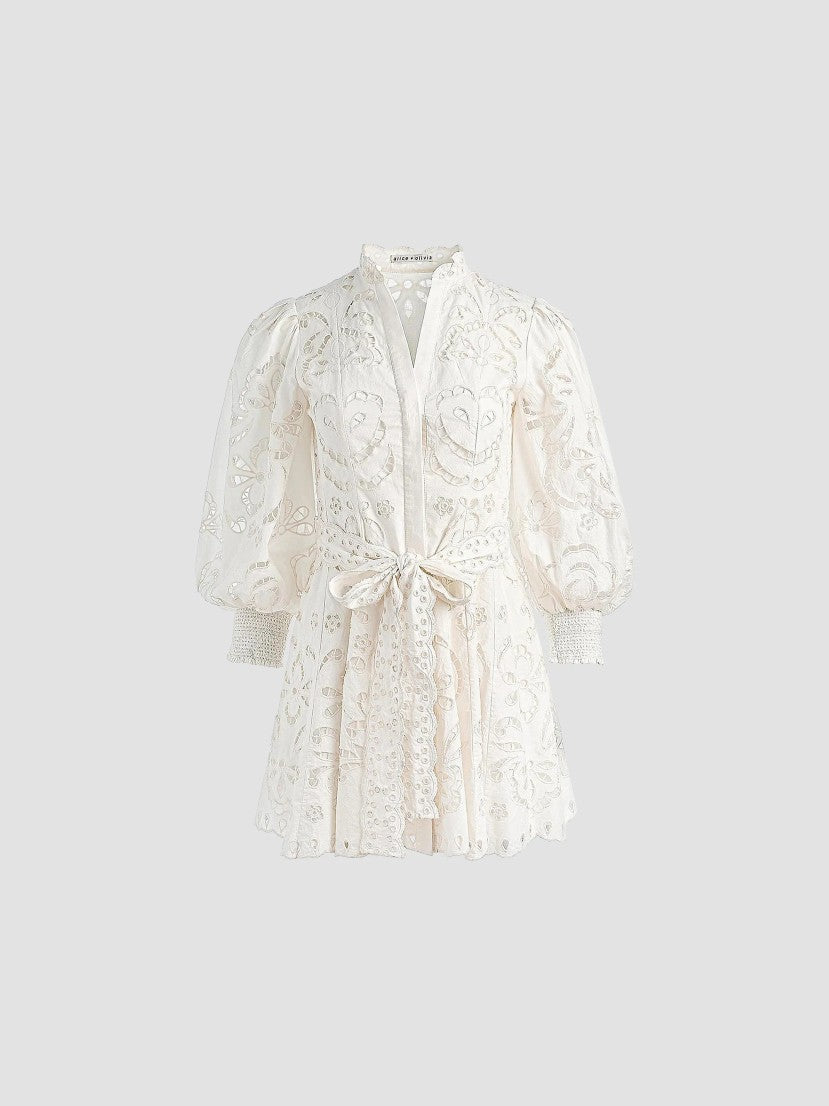 Lucy Embroidered Cotton Mini Shirtdress