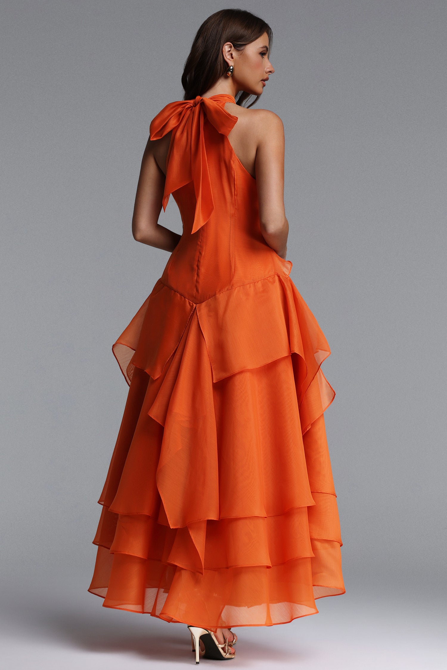 Momo Resort Flowy Sleeveless Ruffle Organza Maxi Dress	