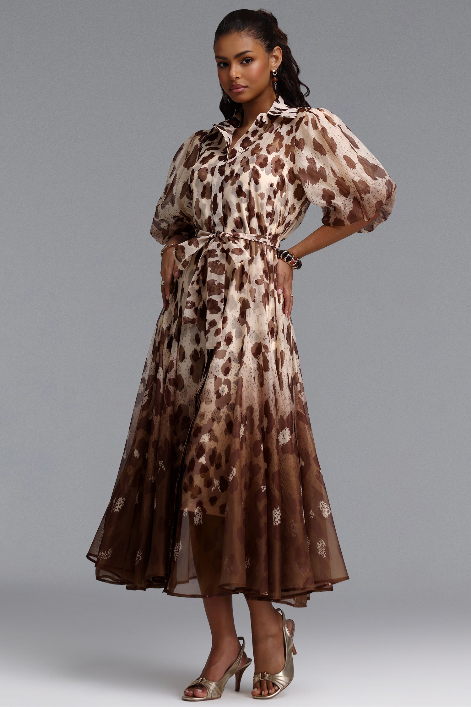 Tamarah Resort Flowy Puff Sleeve Leopard Print Woven Maxi Dress	