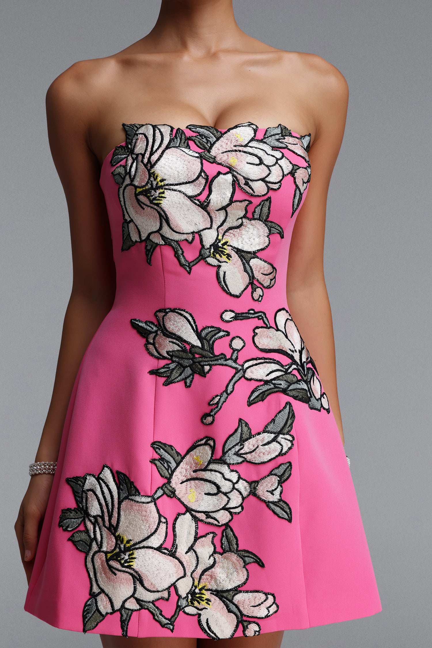 Zaria  Appliqu¨¦ Floral Bustier Mini Dress	