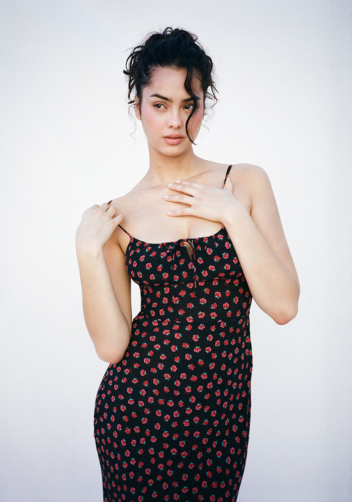 The Alba - Rosalita