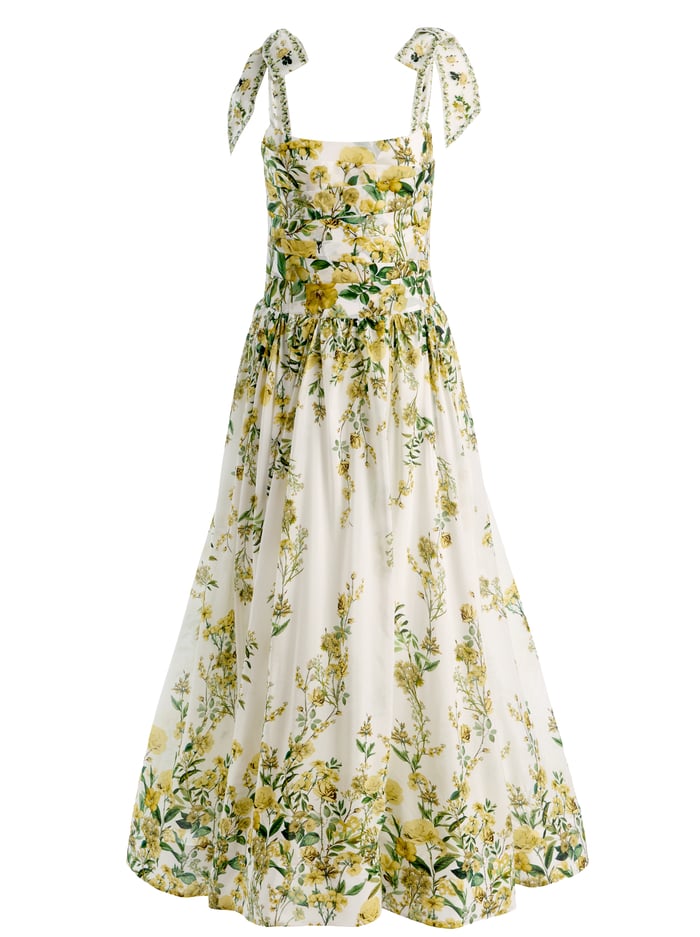 HAVEN FLARED MAXI DRESS 6