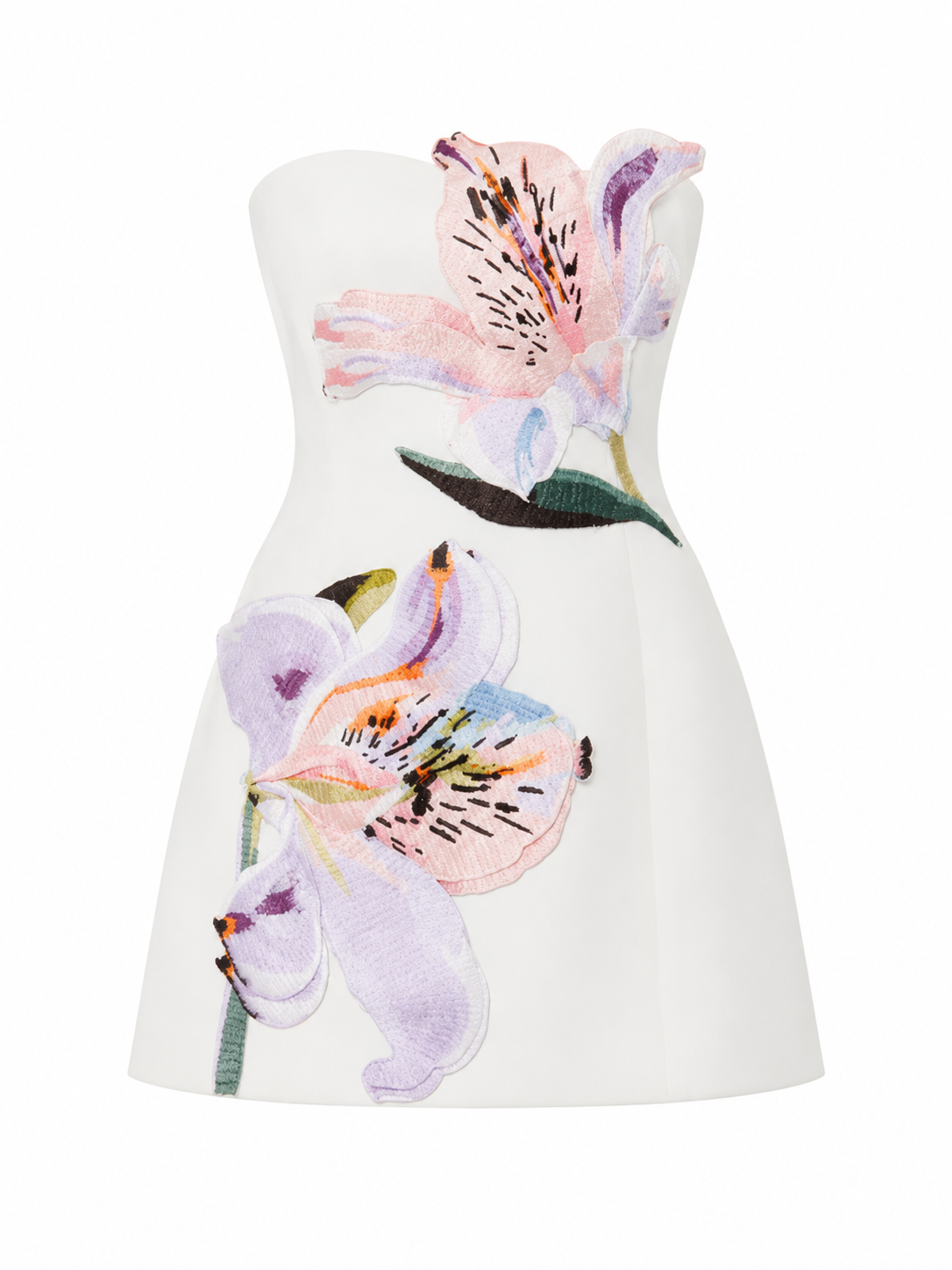 Rosario Applique Floral Bustier Mini Dress