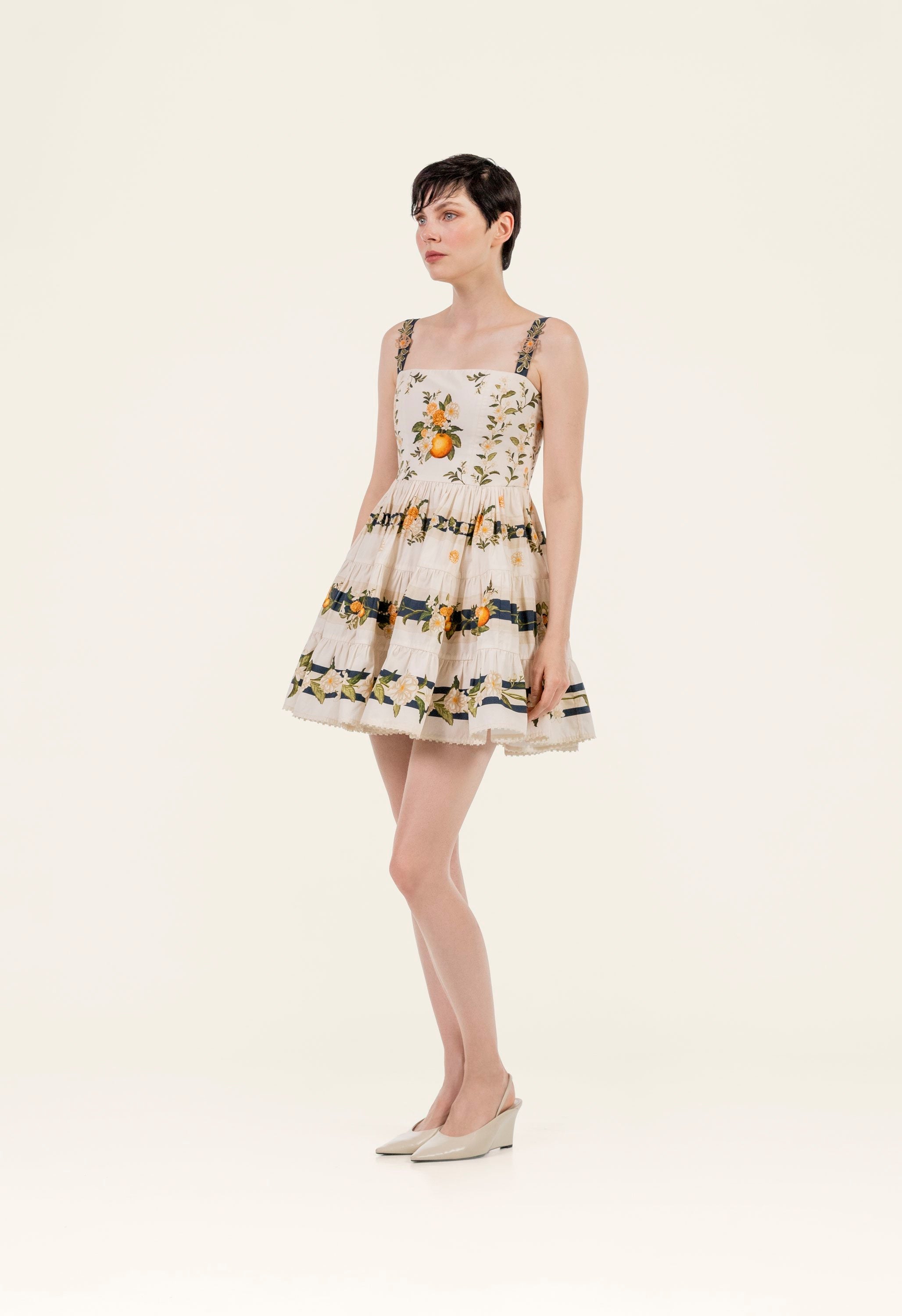 Lima Valle Mini Dress 5