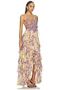Peony Butterfly Maxi Dress 2