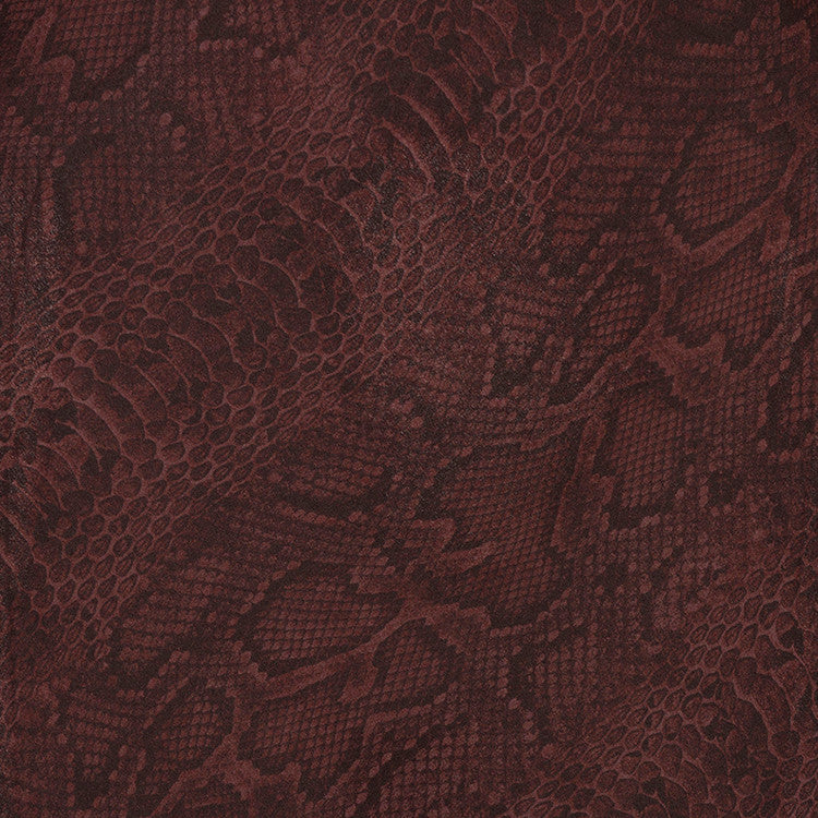 The Penelope - Python