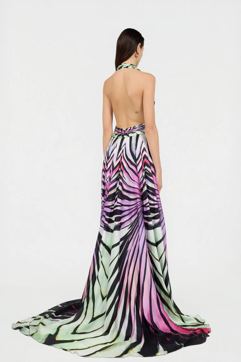 Maxikleid aus Seide mit Ray of Paradise-Print