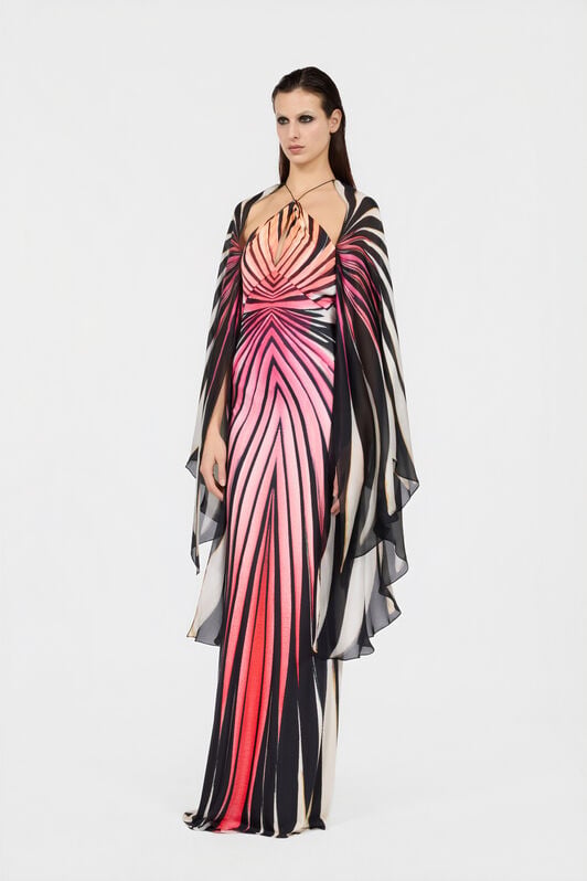 Ray Of Paradise Print Silk Maxi Dress 2