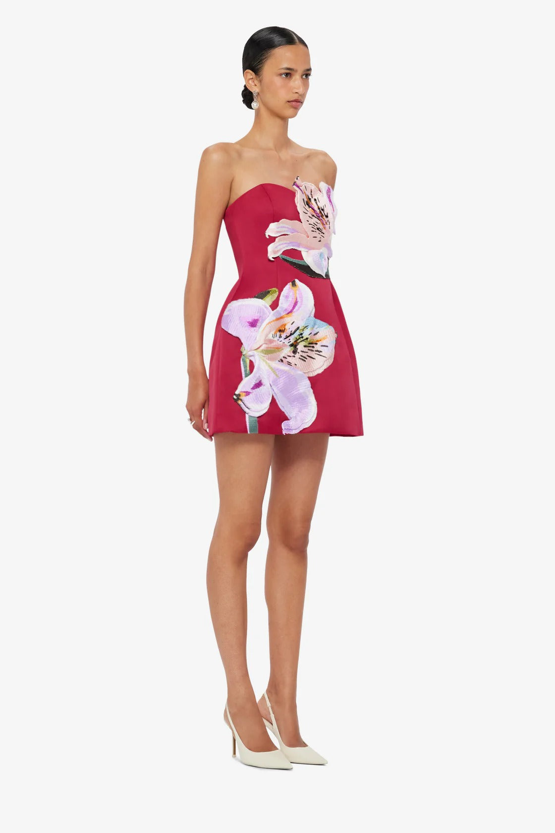 Rosario Appliqué Floral Bustier Mini Dress