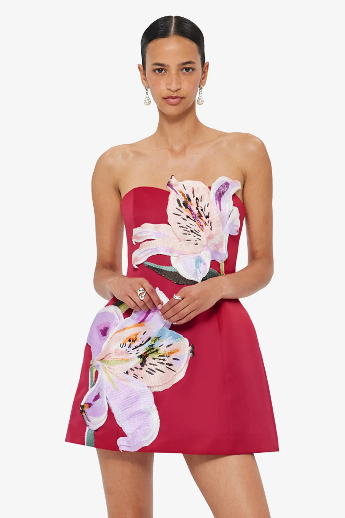 Rosario Appliqué Floral Bustier Mini Dress