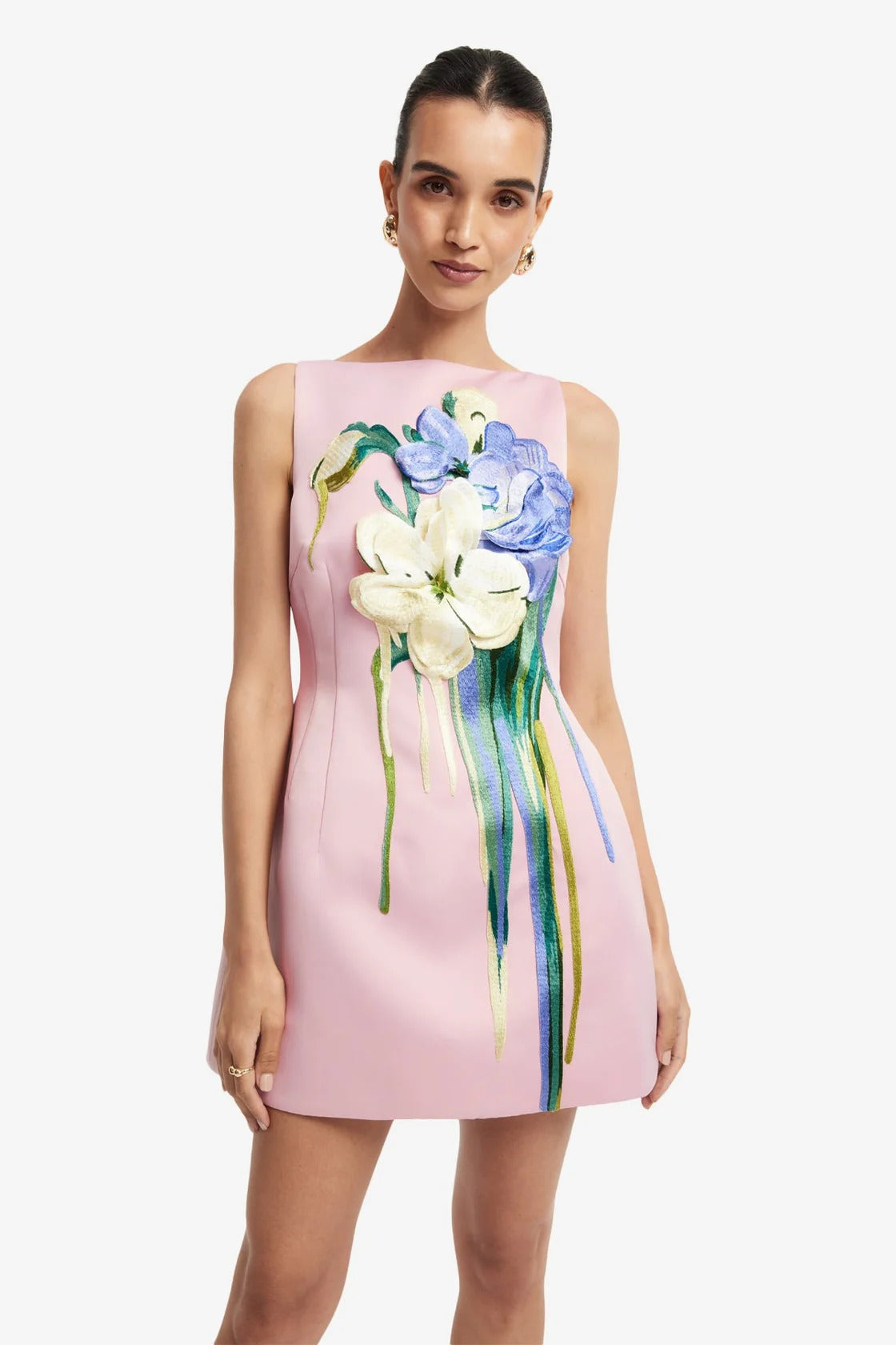 Ali Embroidered Boat Neck Mini Dress