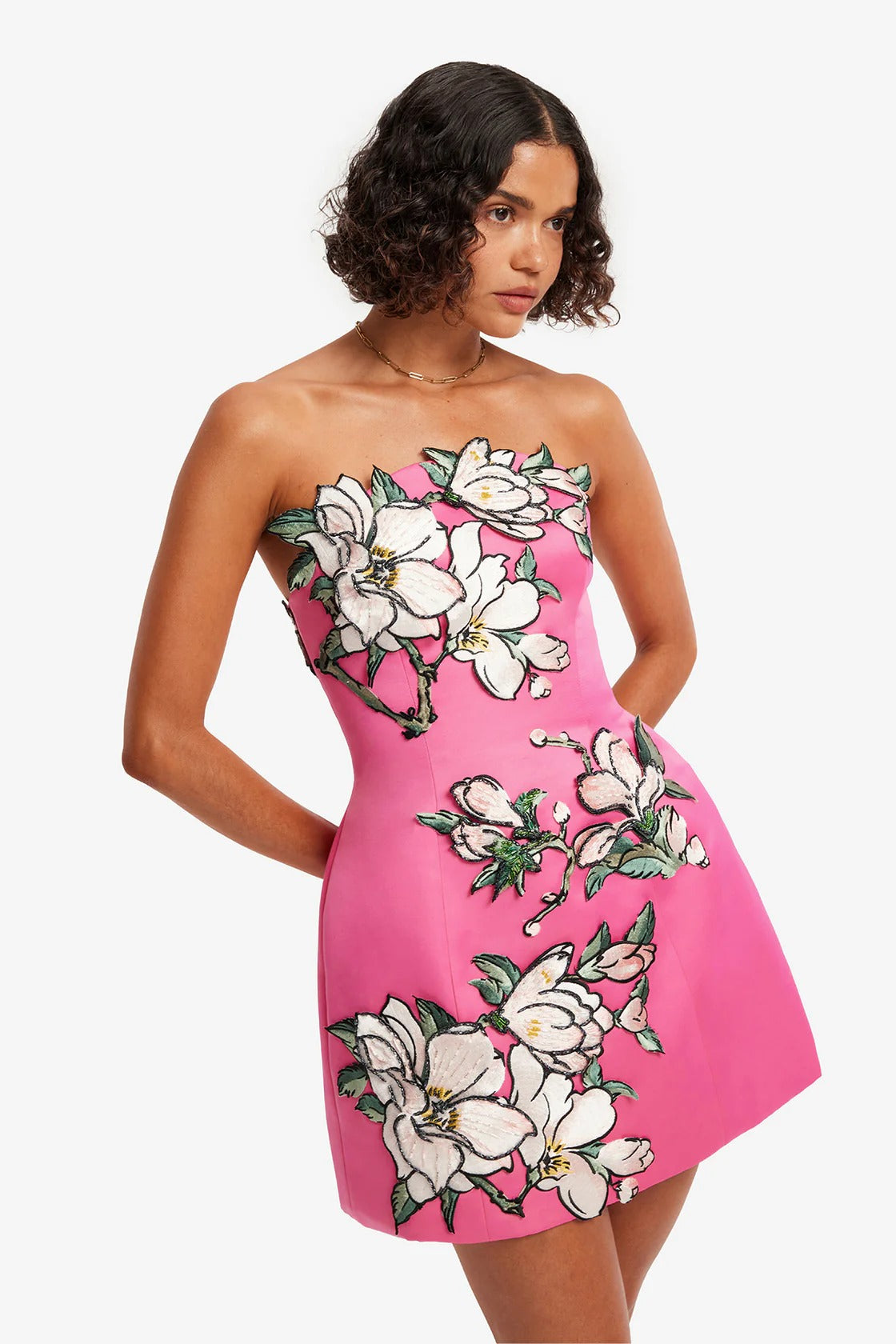 Zaria  Appliqué Floral Bustier Mini Dress