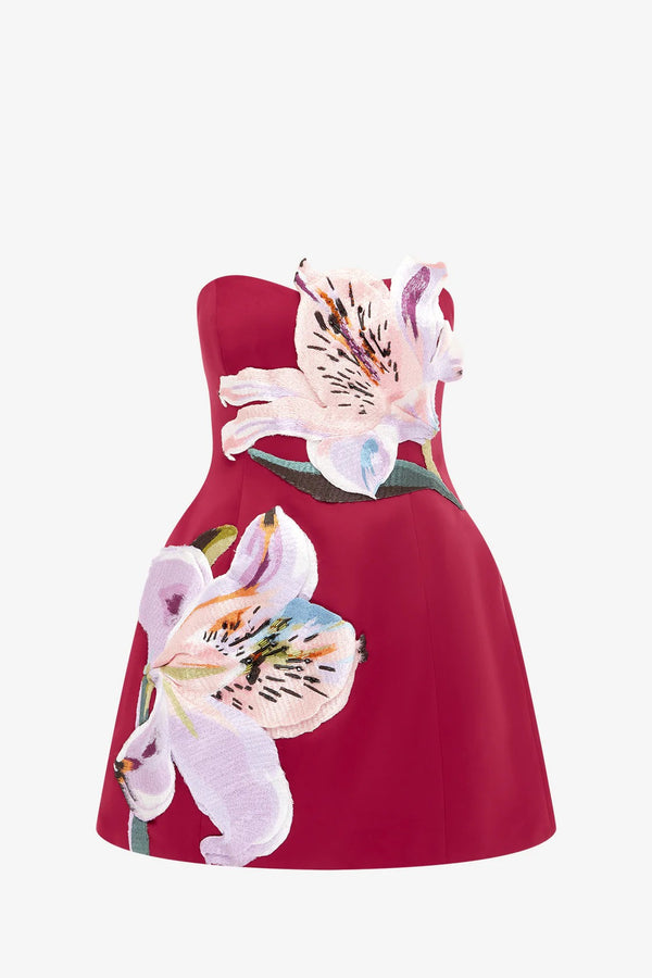Rosario Appliqué Floral Bustier Mini Dress