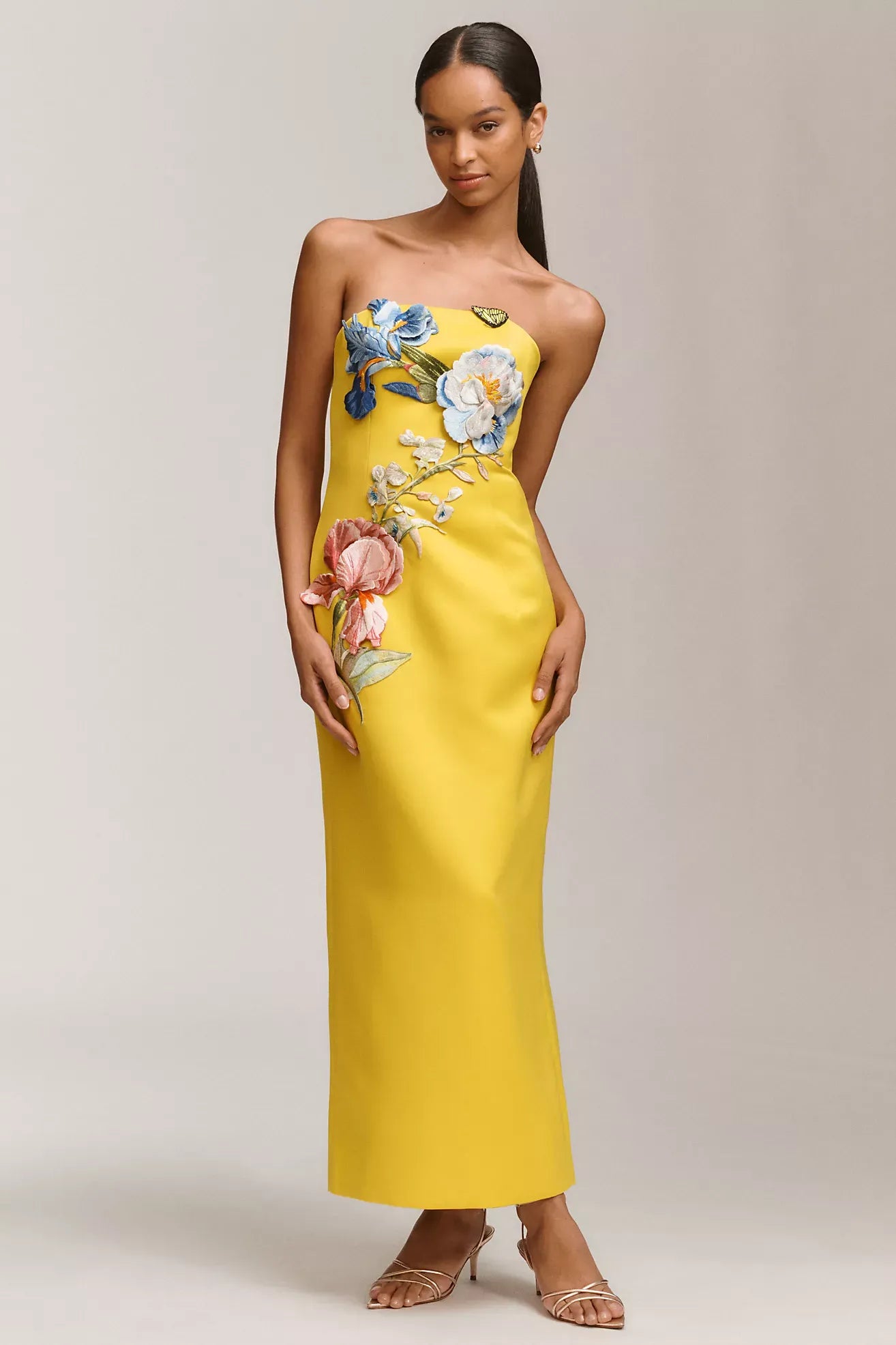 Rayna Appliqué Floral Strapless Maxi Dress