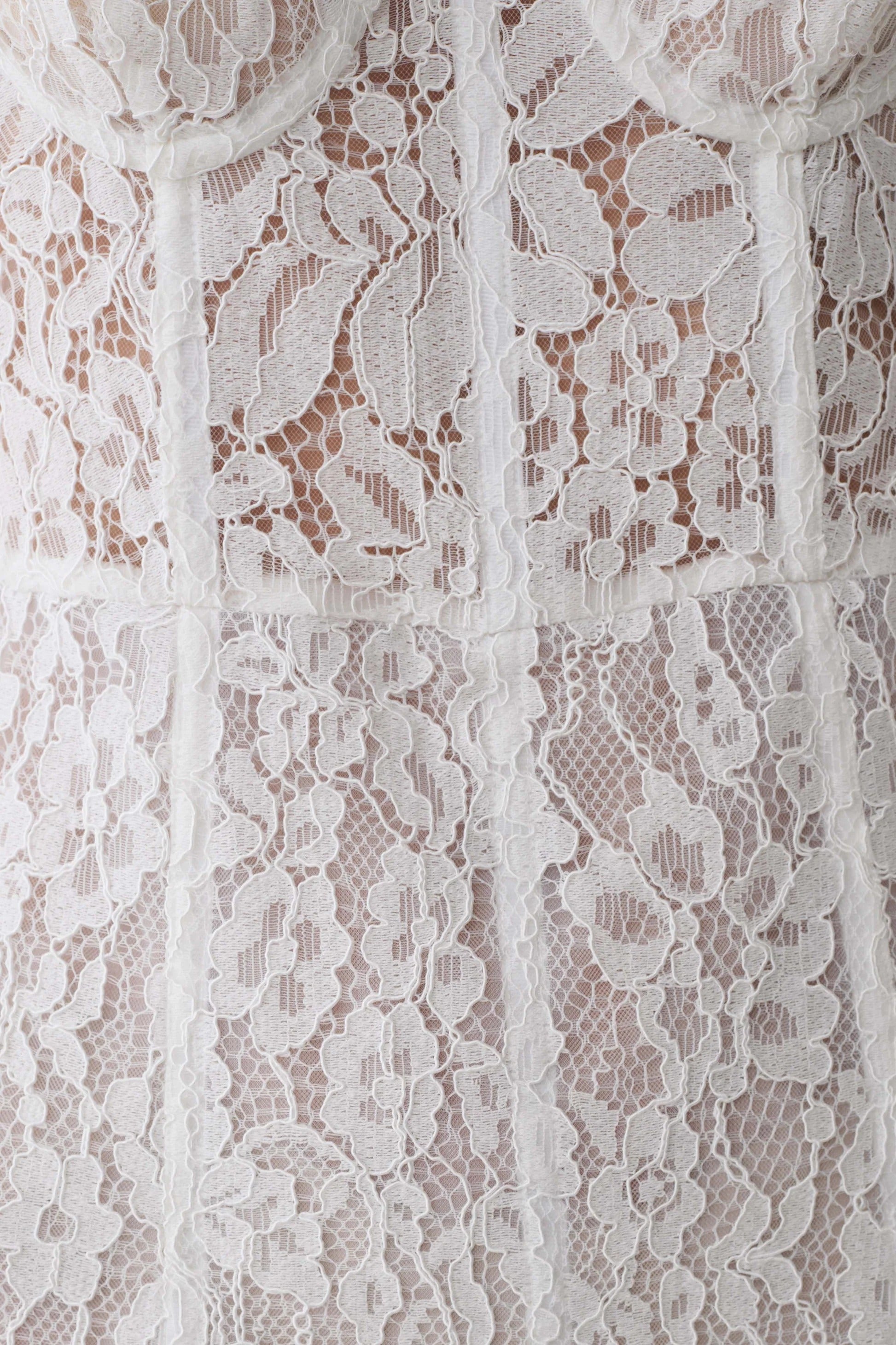 Ottilie Lace And Mesh Midi Dress