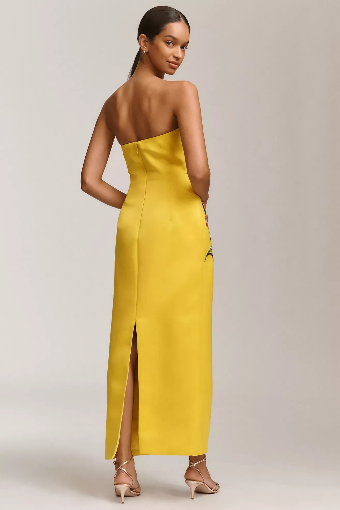 Rayna Appliqué Floral Strapless Maxi Dress