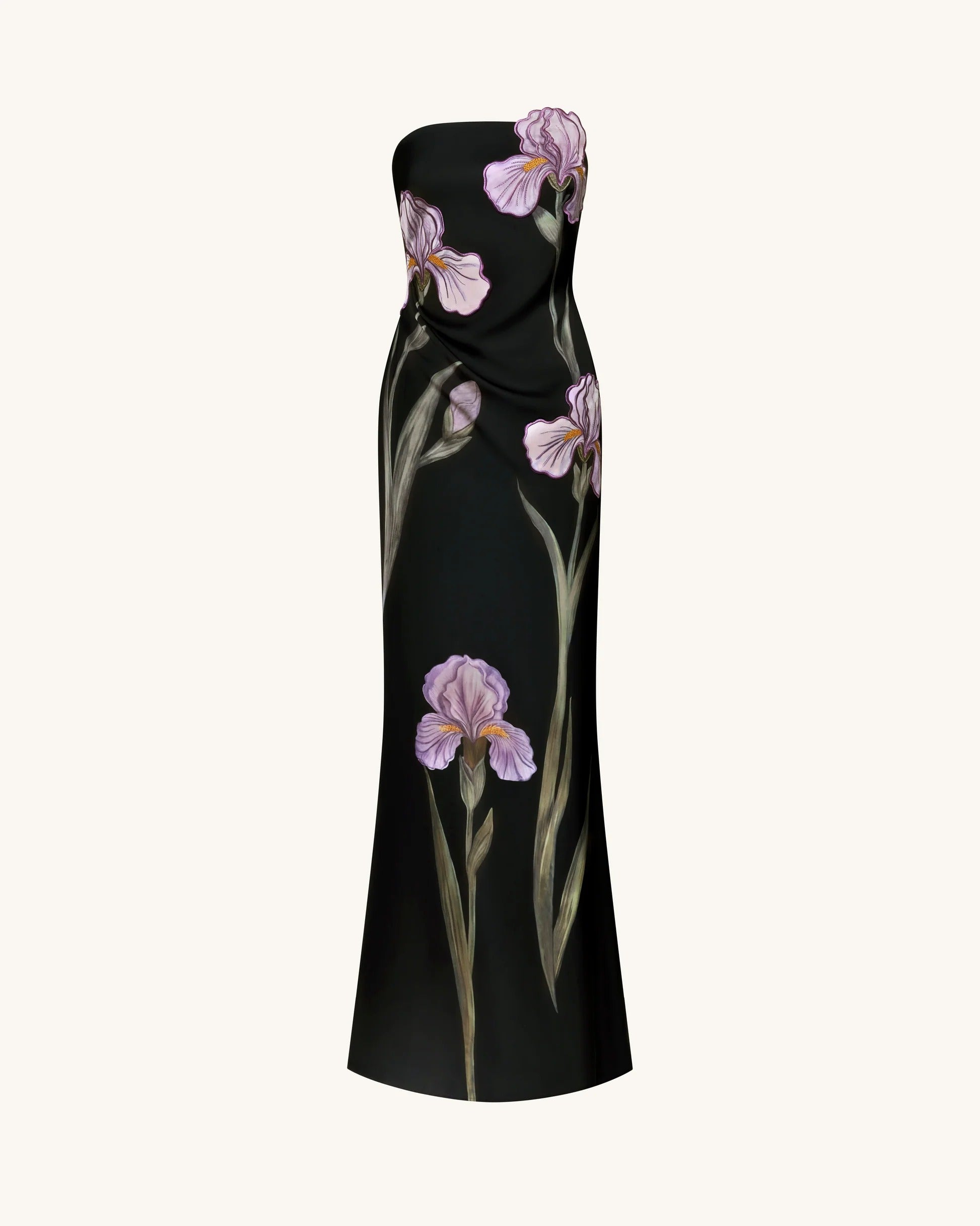 Iris Floral-Appliqué Strapless Maxi Dress - Black