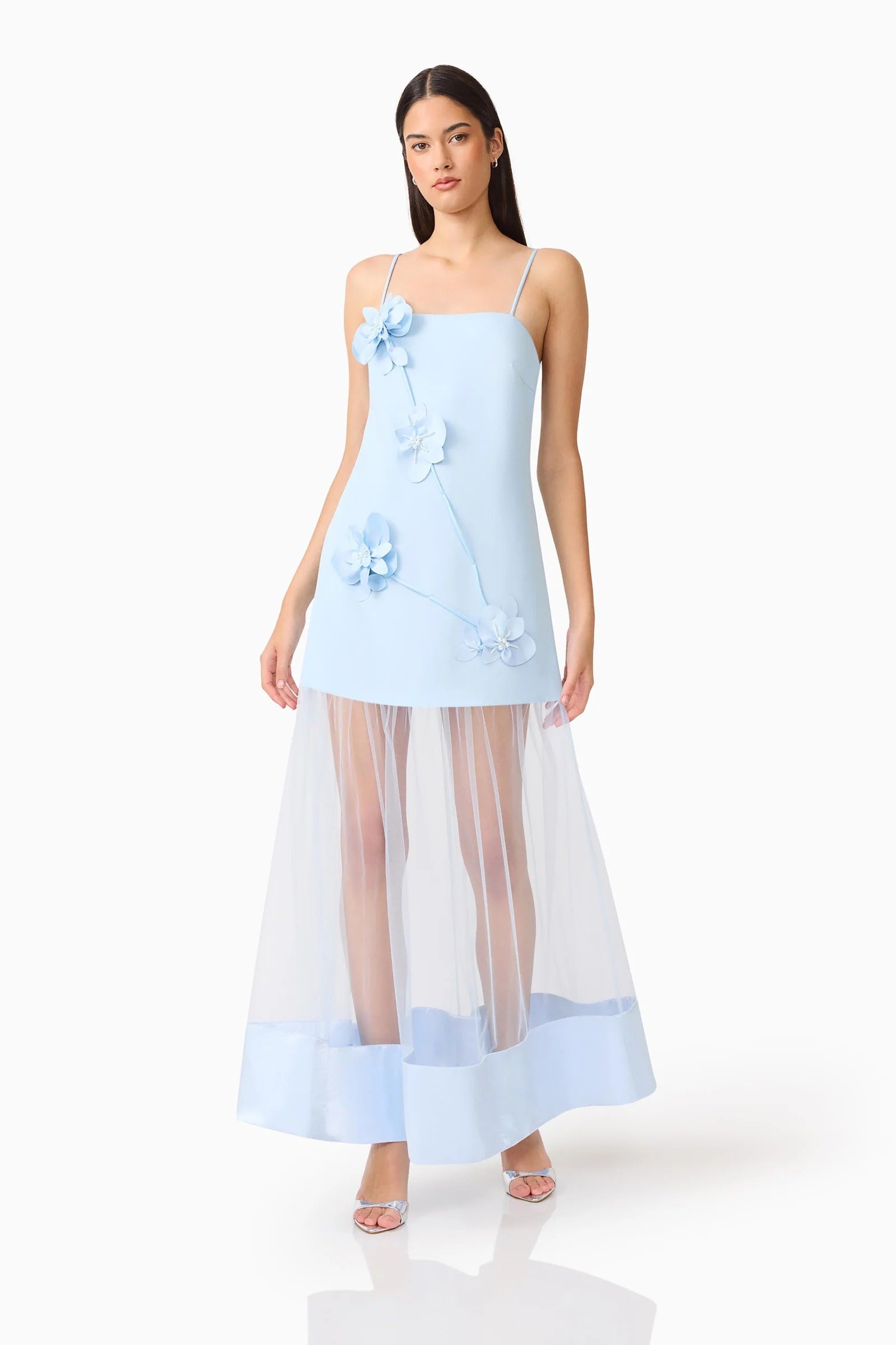 Reina Applique Gown in Sky Blue