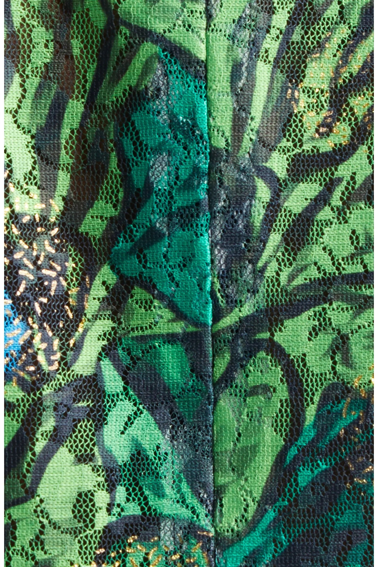 Butterfly Print Lace & Silk Chiffon Plunge Neck Dress