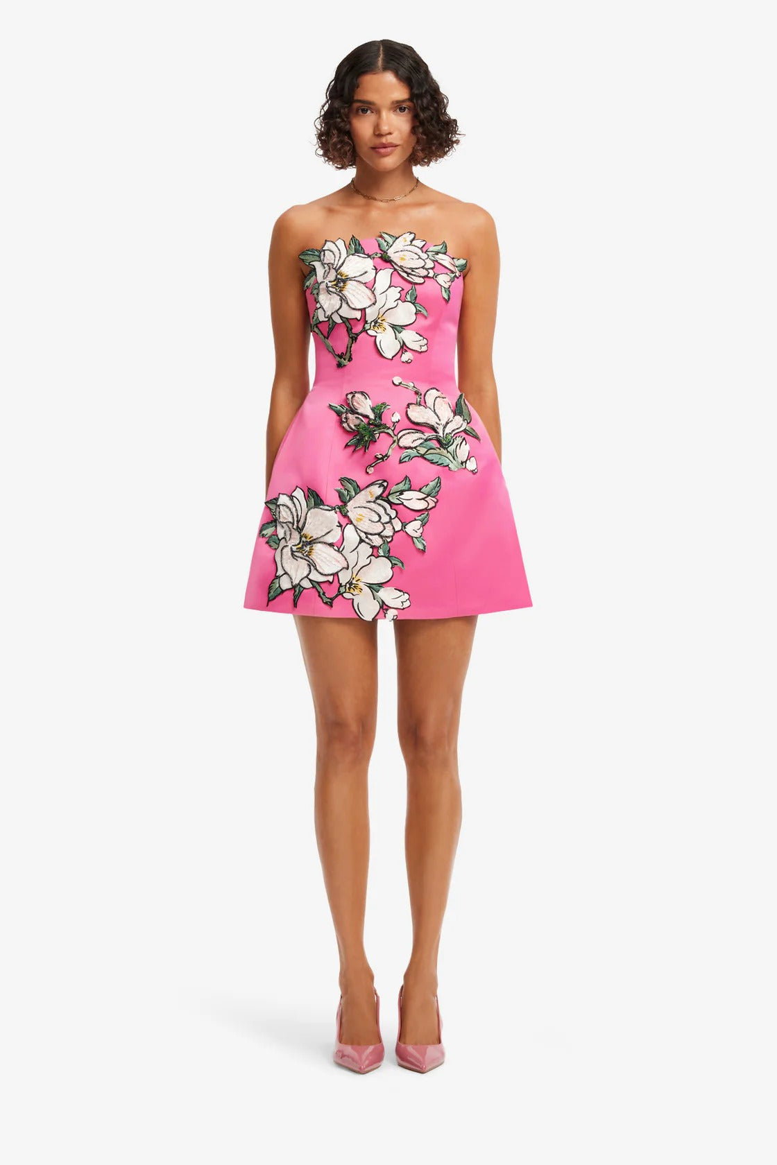 Zaria  Appliqué Floral Bustier Mini Dress