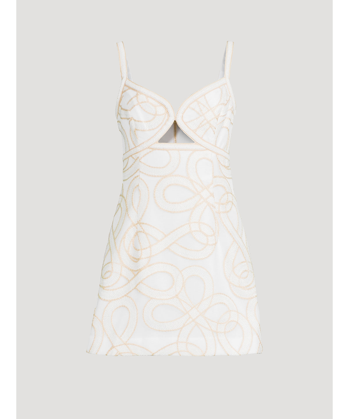 Irena Embroidered Mini Dress 1