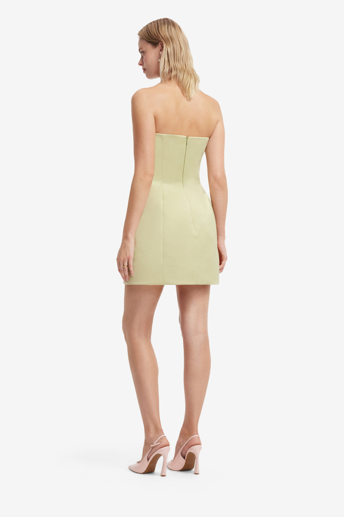 Roselle Embroidered Bustier Mini Dress - Pistachio Rose Print
