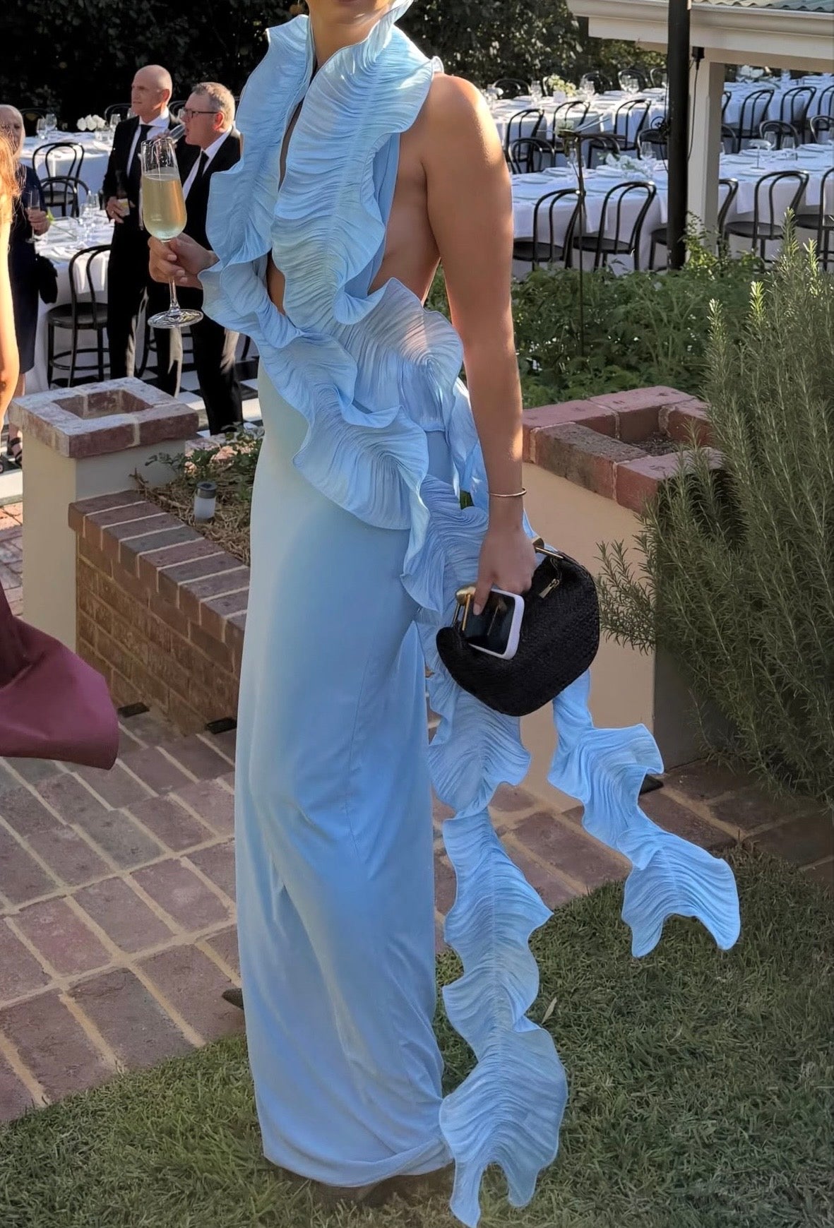 Hydrangea maxi
