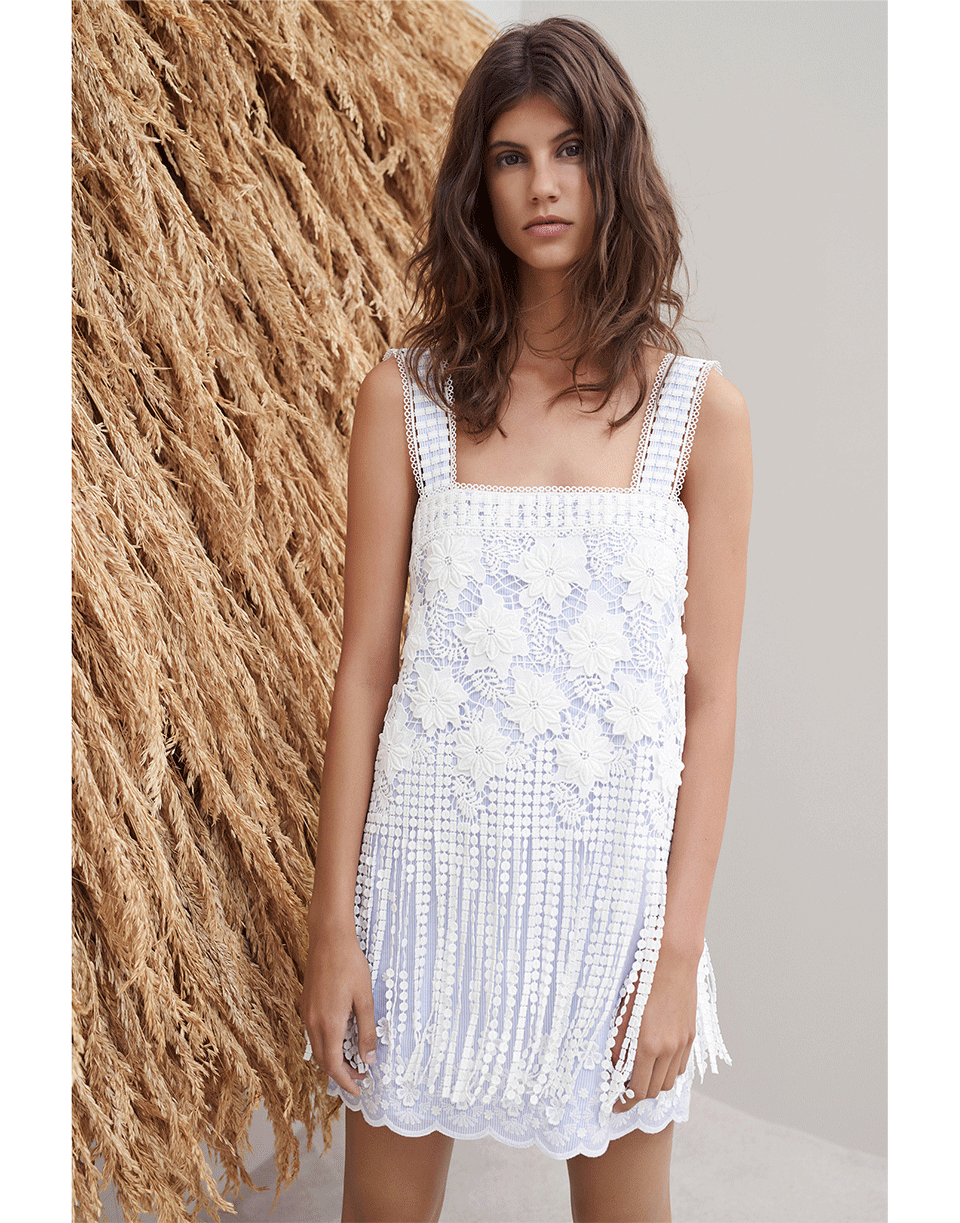 Fulton Fringe Dress