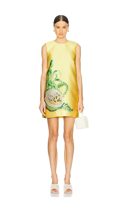 Sol Mini Dress