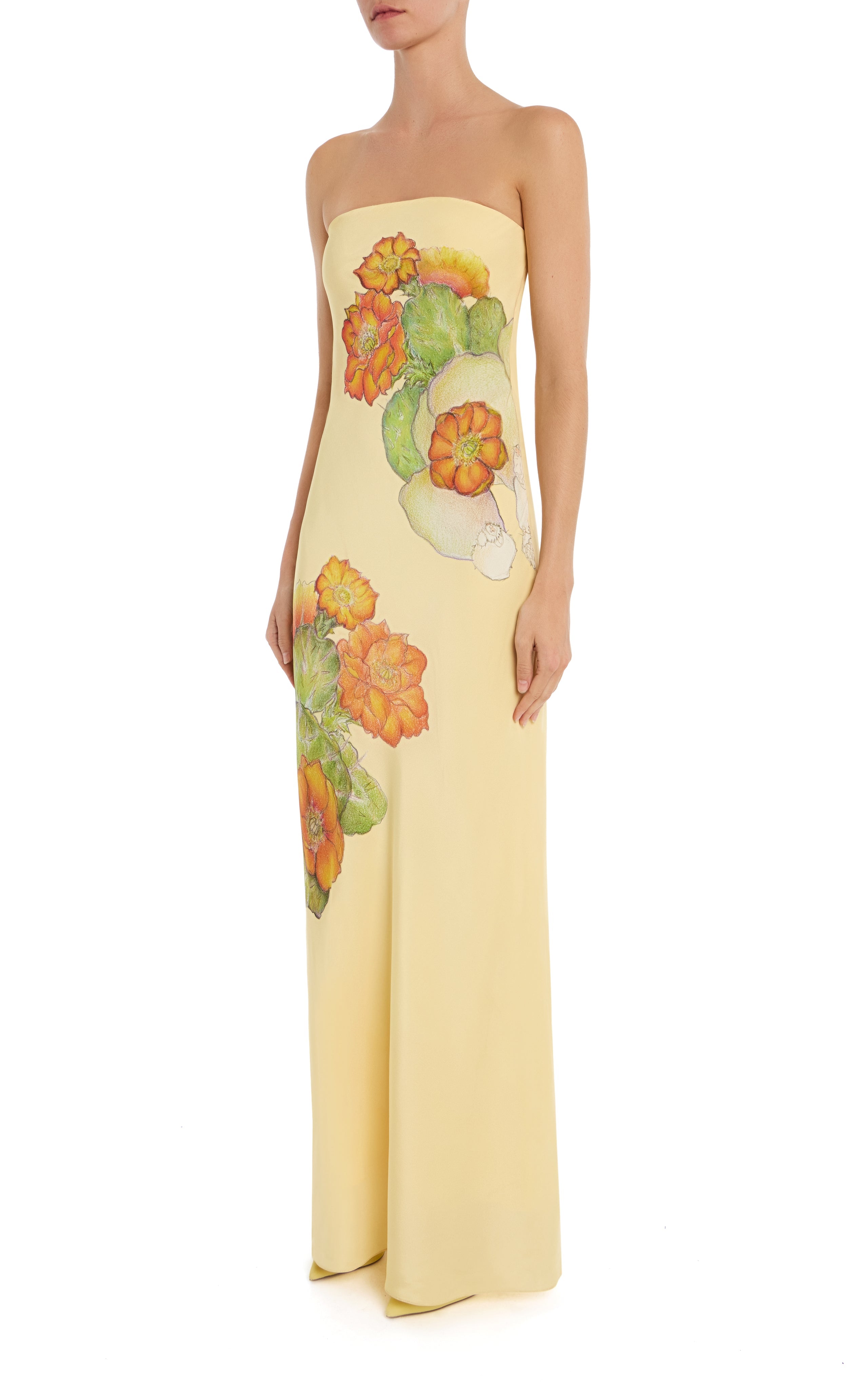 Cactus Printed Silk Strapless Gown With Scarf