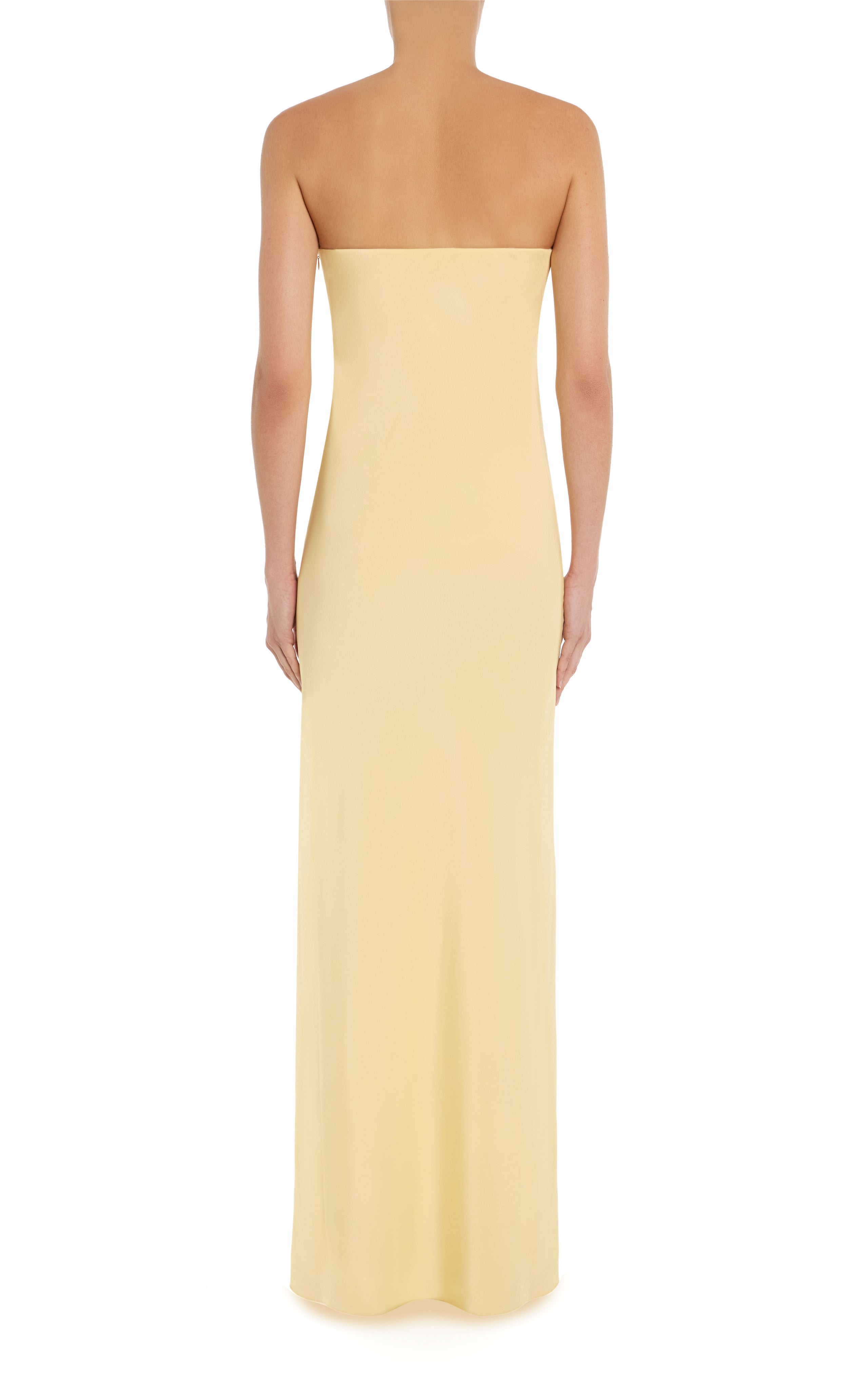 Cactus Printed Silk Strapless Gown With Scarf