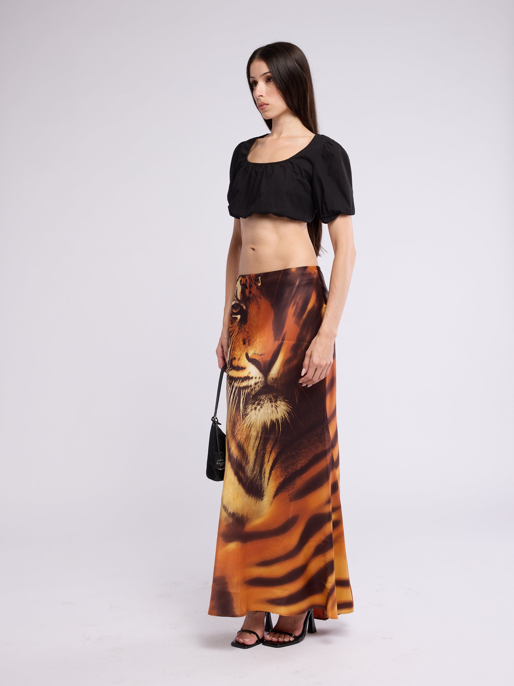 Roberto Cavalli FW 2000 Tiger Skirt - Animal Print