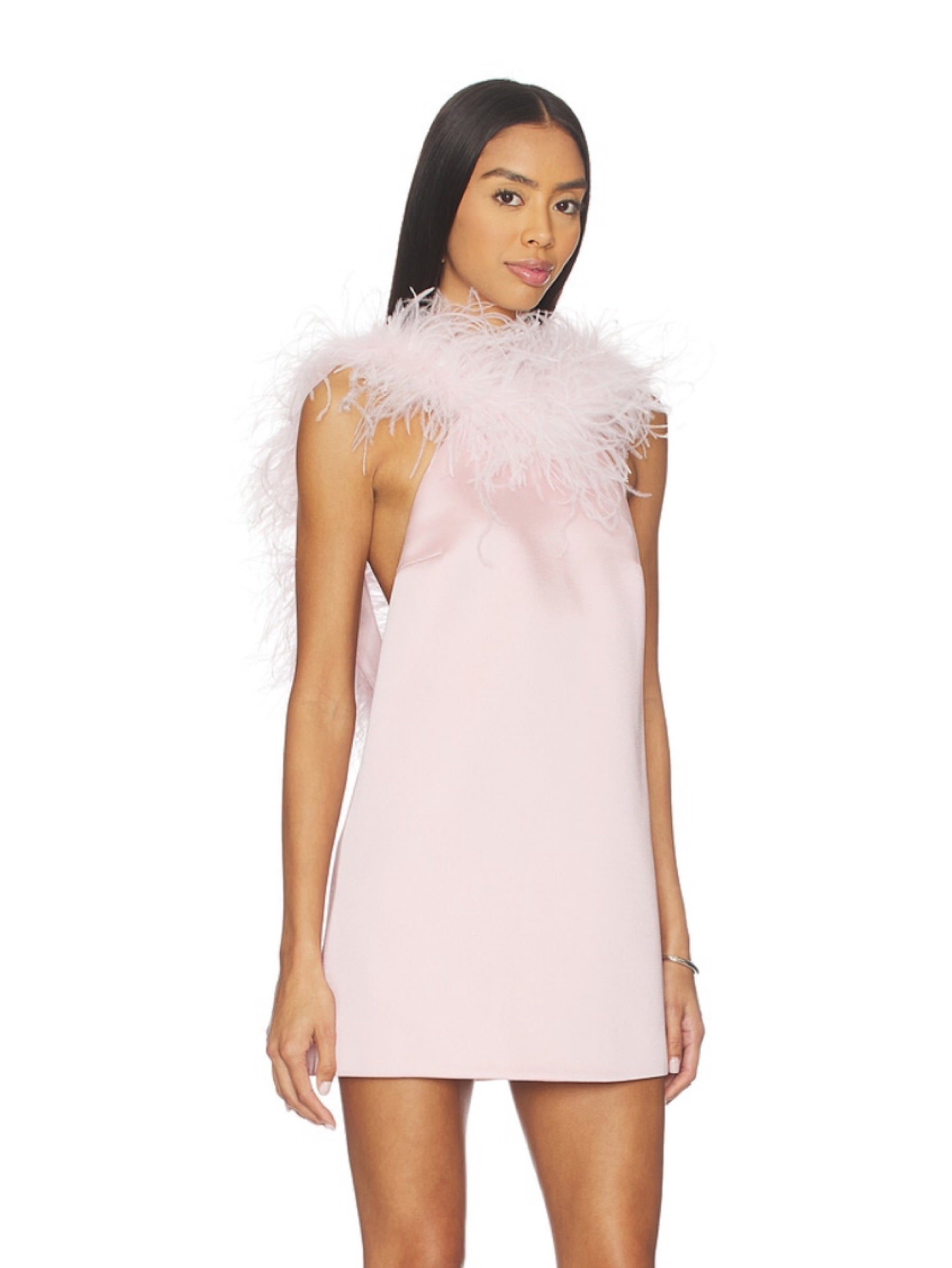 Retrofete Jorie Dress in Ballet Slipper