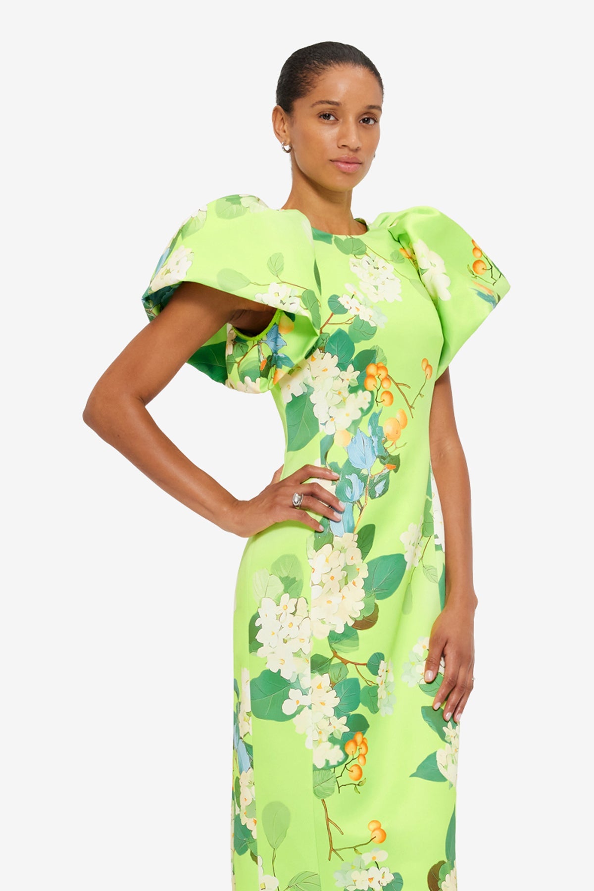 Lucinda Printed Maxi Dress - Hydrangea in Lime