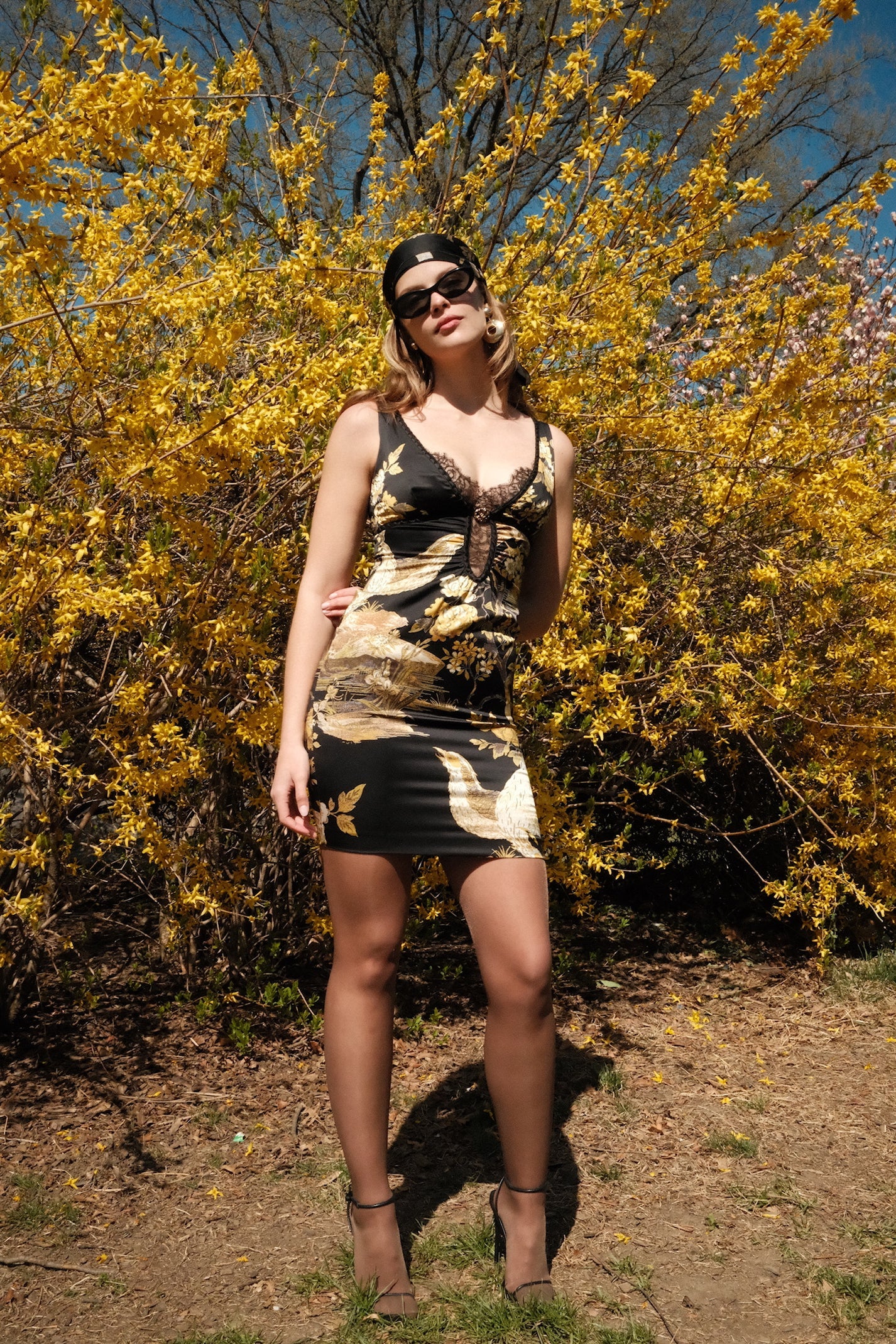 Roberto Cavalli FW 2006 Floral Mini Dress & Scarf - Black
