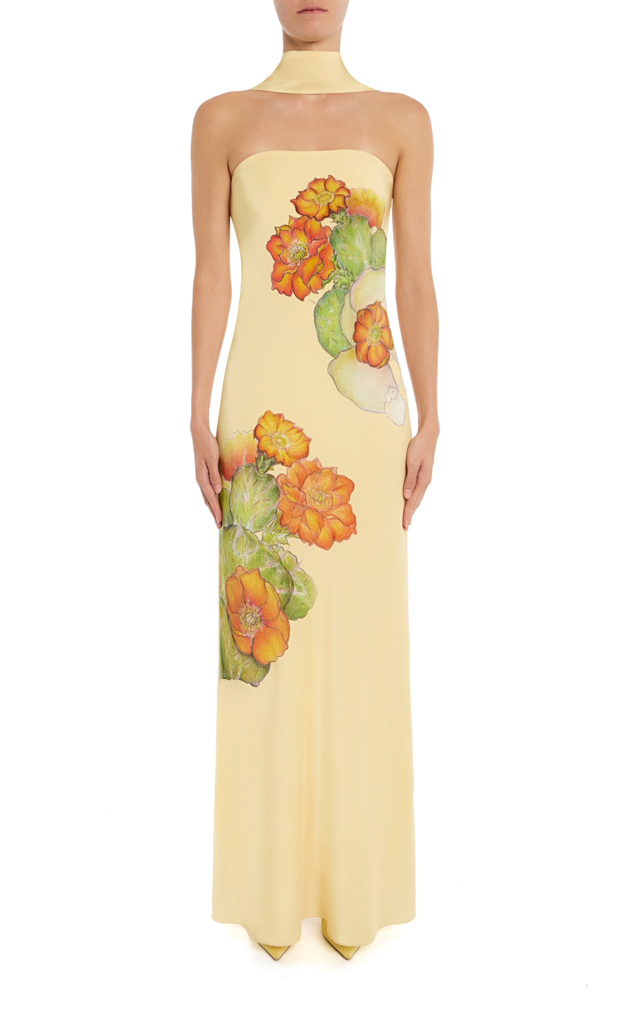 Cactus Printed Silk Strapless Gown With Scarf