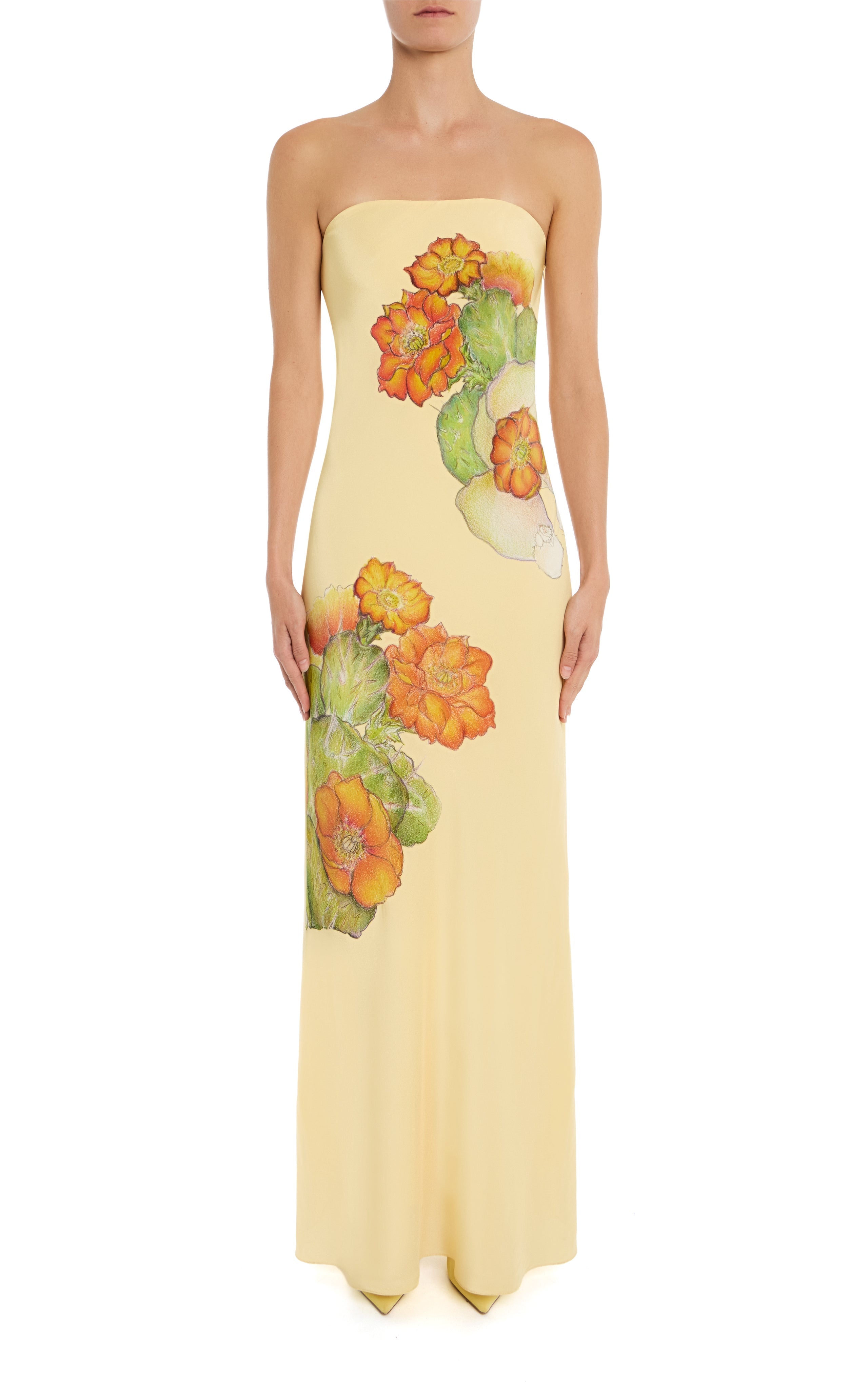 Cactus Printed Silk Strapless Gown With Scarf